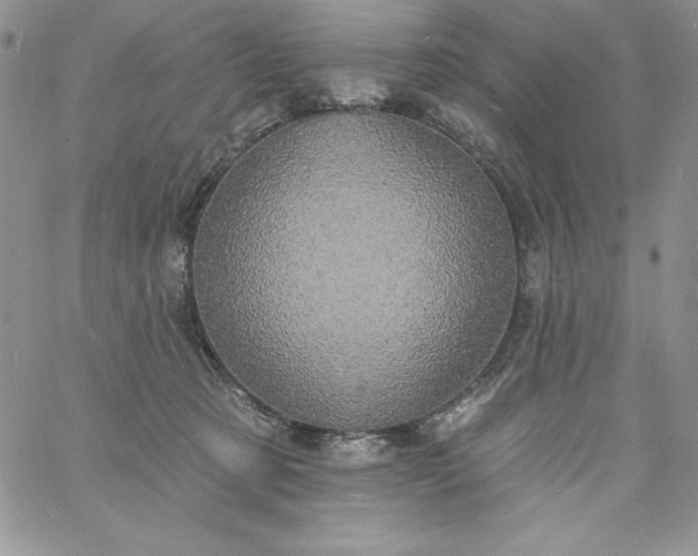 X0000060790321200511241851