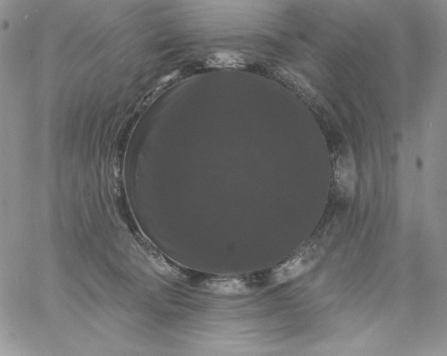 X0000060790322200511241851