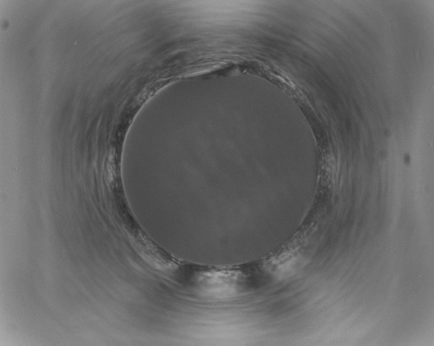 X0000060790323200511241851