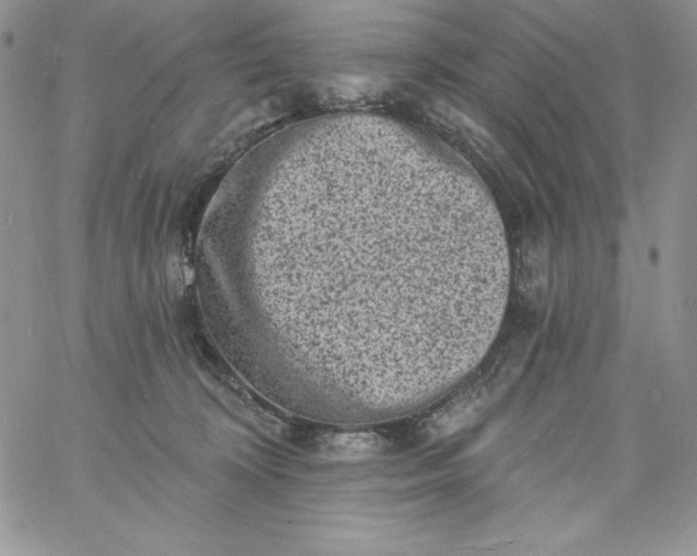 X0000060790324200511241851