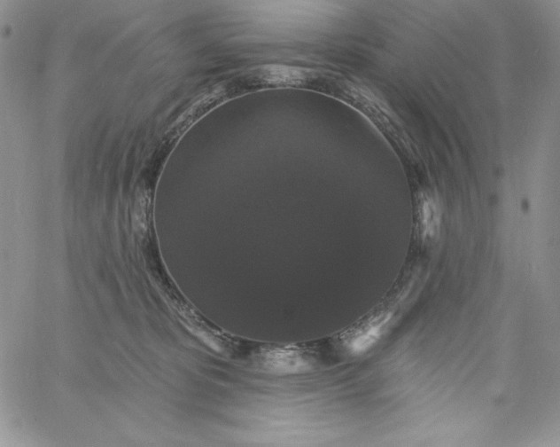 X0000060790325200511241851