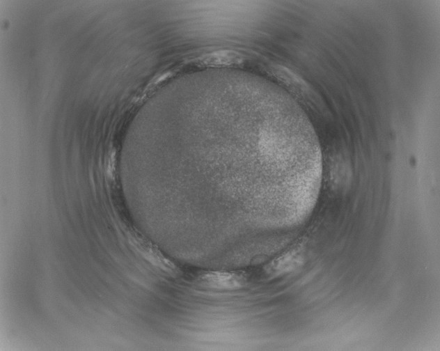 X0000060790326200511241851