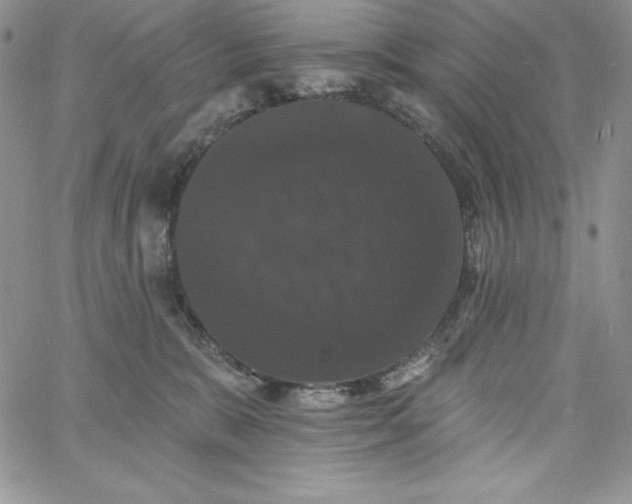 X0000060790327200511241851