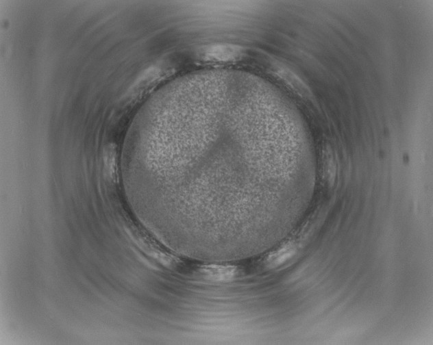 X0000060790328200511241851