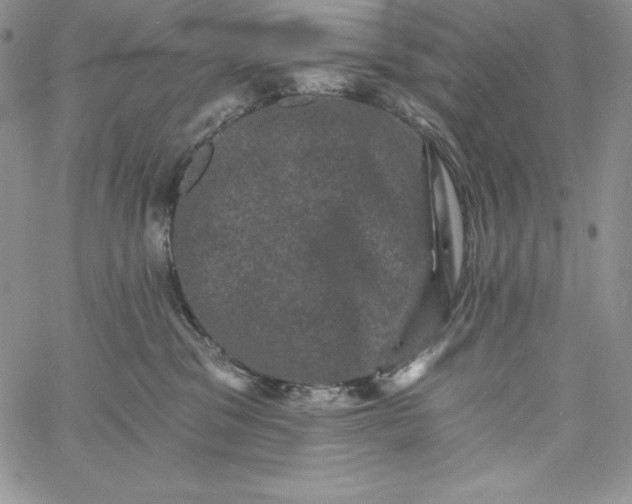 X0000060790329200511241851