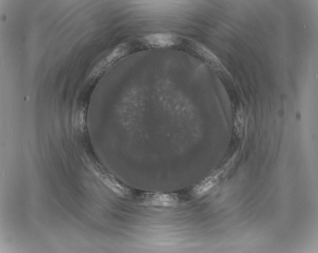 X0000060790330200511241851