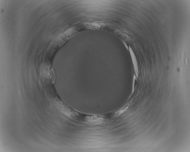 X0000060790331200511241851