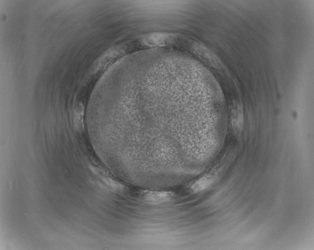 X0000060790332200511241851