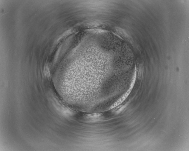 X0000060790335200511241851