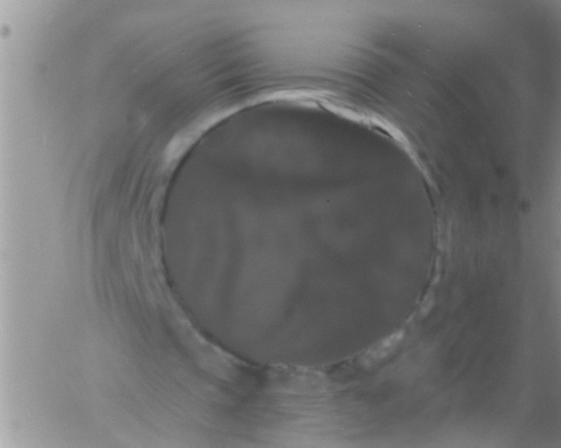 X0000060790337200511241850