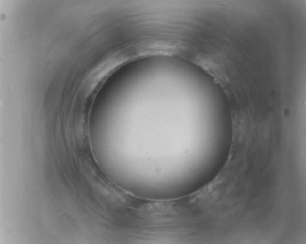 X0000060790338200511241850