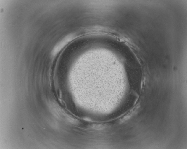 X0000060790341200511241850