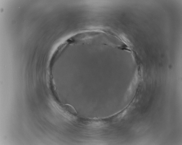 X0000060790342200511241850