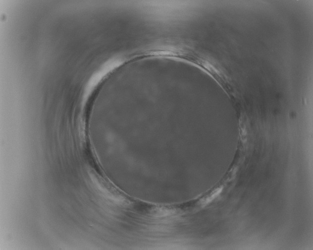 X0000060790343200511241850