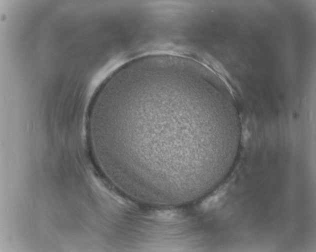 X0000060790344200511241850