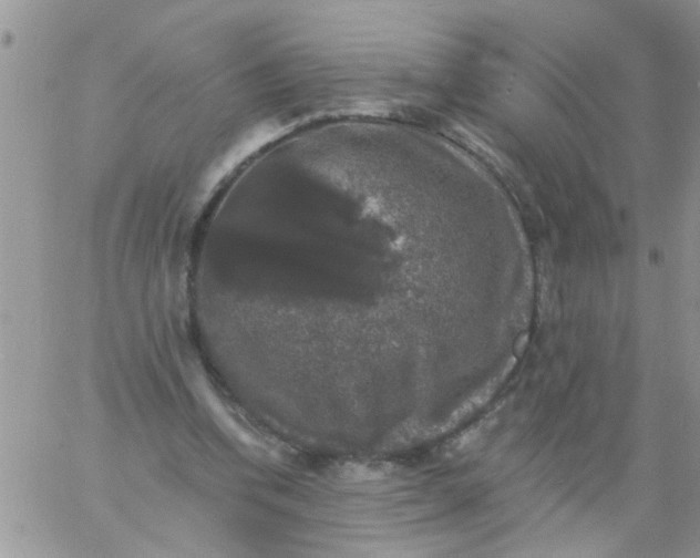 X0000060790346200511241850