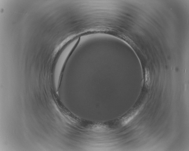 X0000060790348200511241850