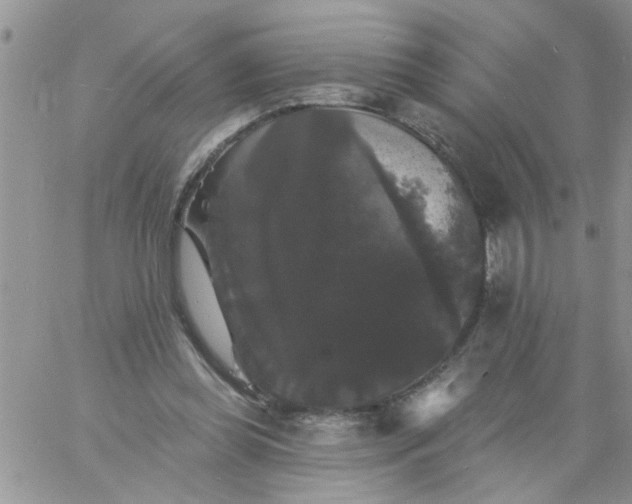 X0000060790349200511241850