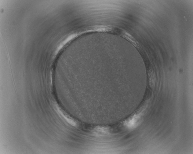 X0000060790350200511241850