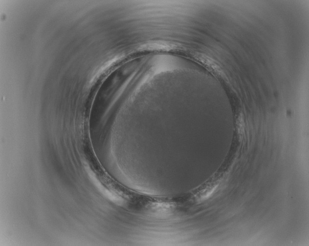 X0000060790352200511241850