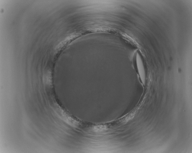 X0000060790353200511241850