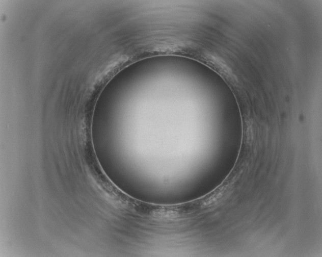 X0000060790354200511241850