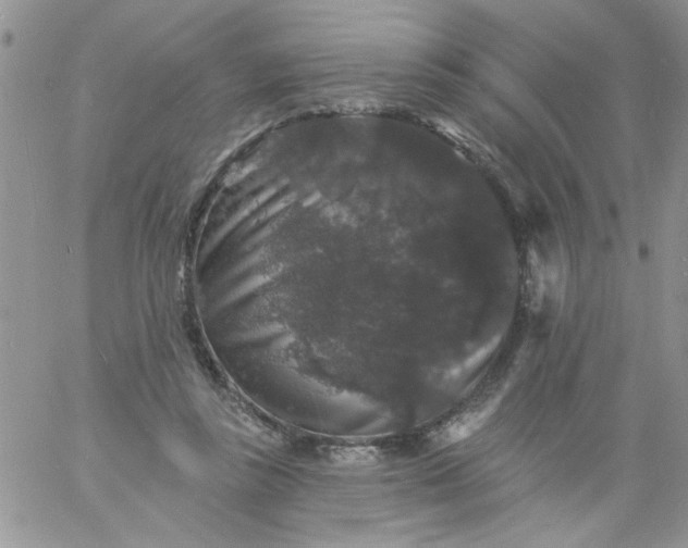 X0000060790355200511241850