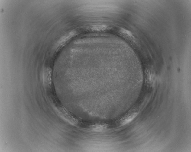 X0000060790356200511241851