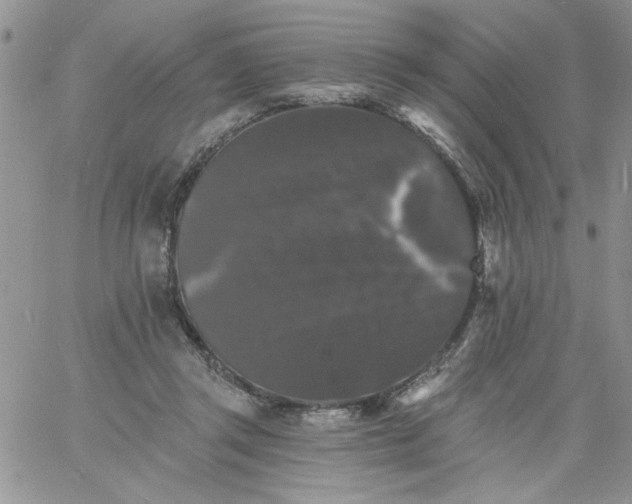 X0000060790357200511241851