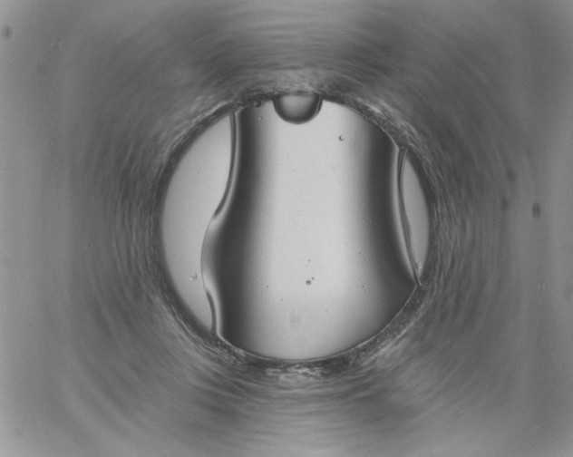 X0000060790359200511241851