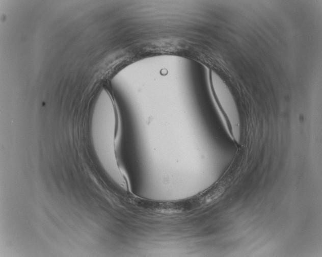 X0000060790360200511241851