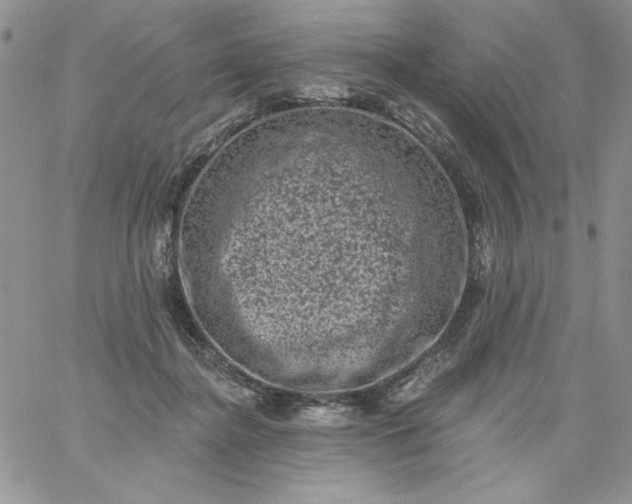 X0000060790364200511241851