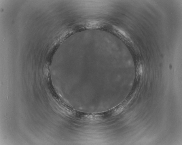 X0000060790367200511241851