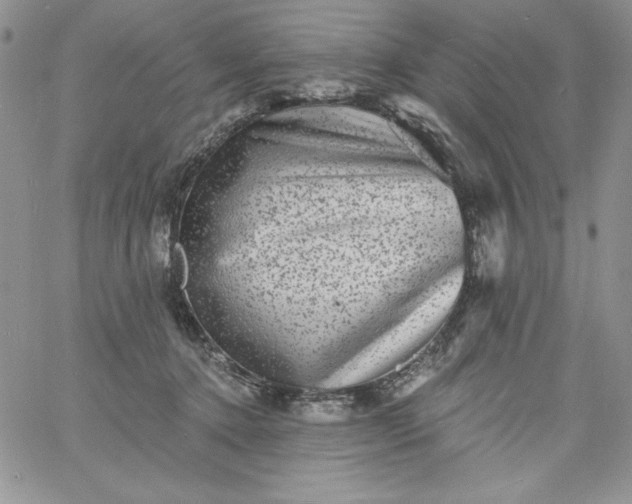 X0000060790368200511241851