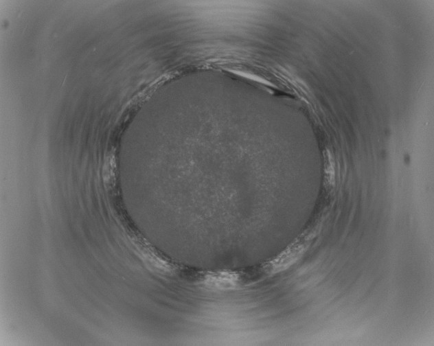 X0000060790369200511241851