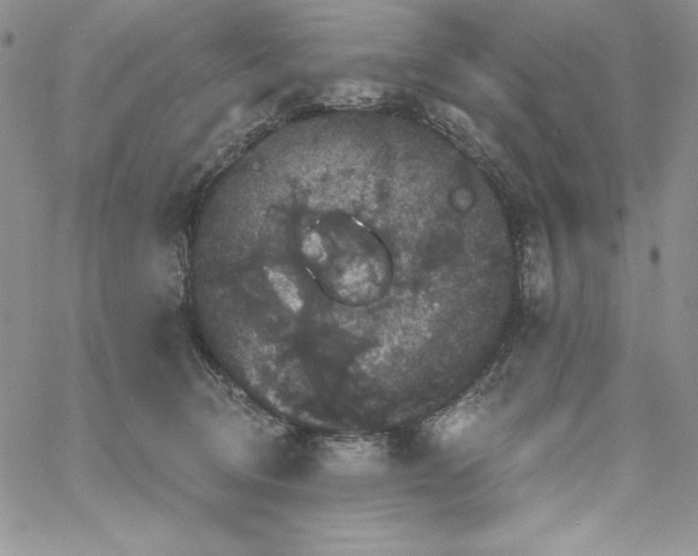 X0000060790370200511241851