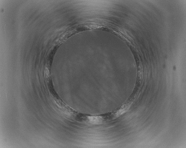 X0000060790371200511241851