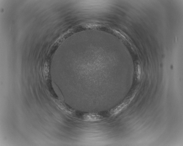 X0000060790372200511241851