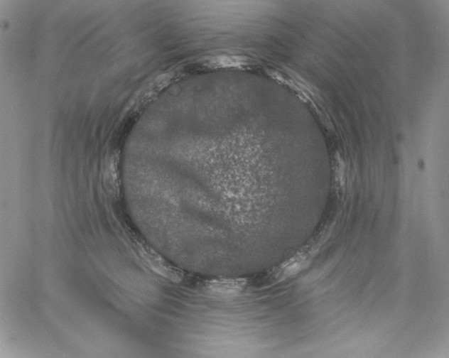 X0000060790373200511241851