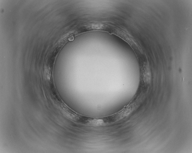 X0000060790374200511241851