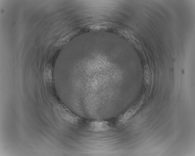 X0000060790375200511241851