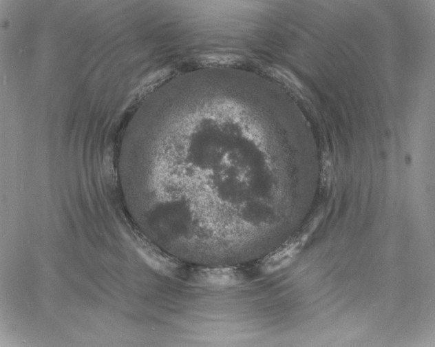 X0000060790377200511241851