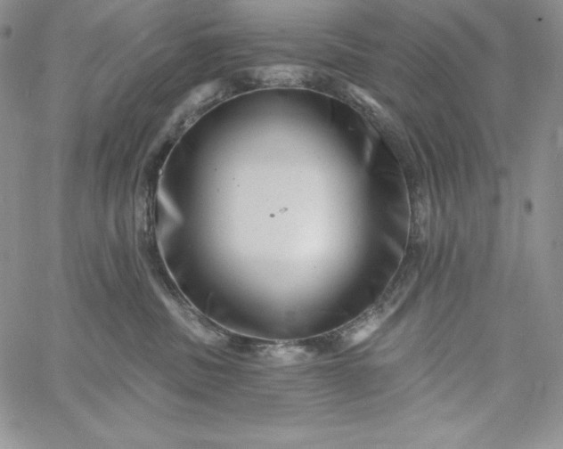 X0000060790379200511241851