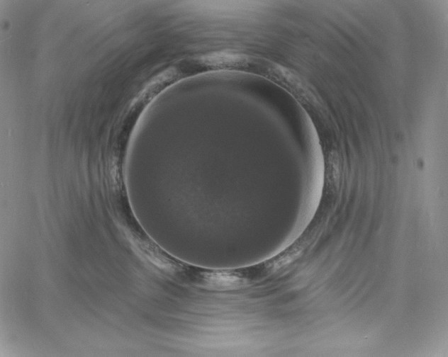 X0000060790380200511241851