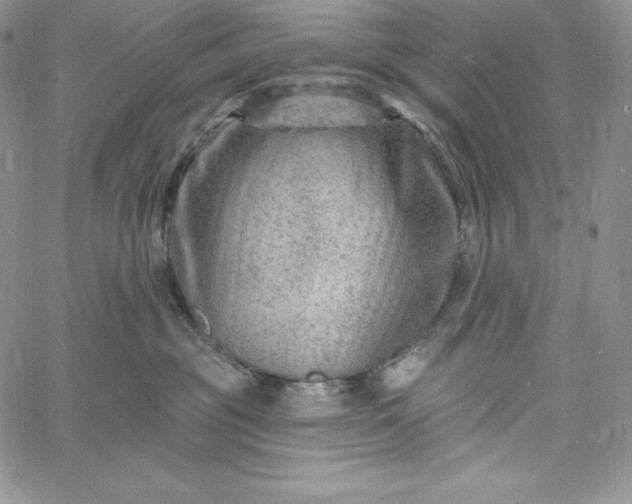 X0000060790381200511241851