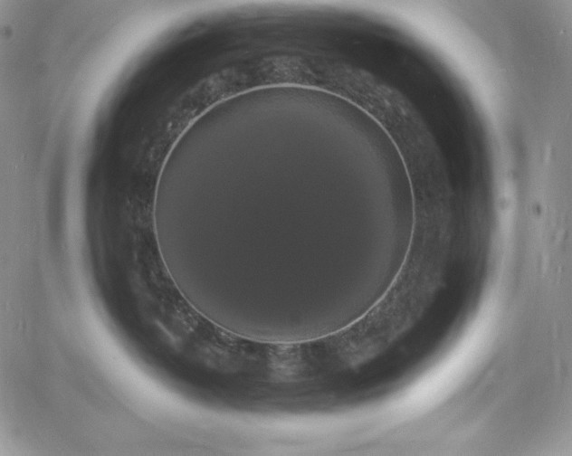 X0000060790382200511241851