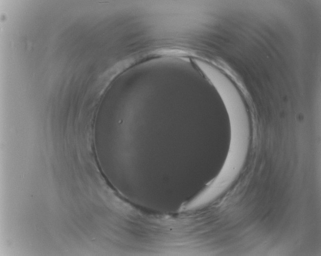 X0000060790385200511241850