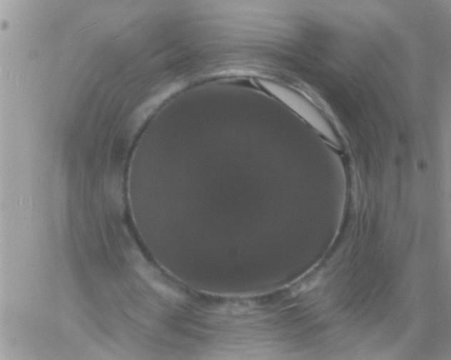 X0000060790386200511241850