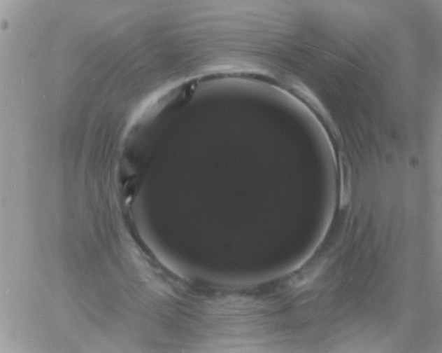 X0000060790387200511241850