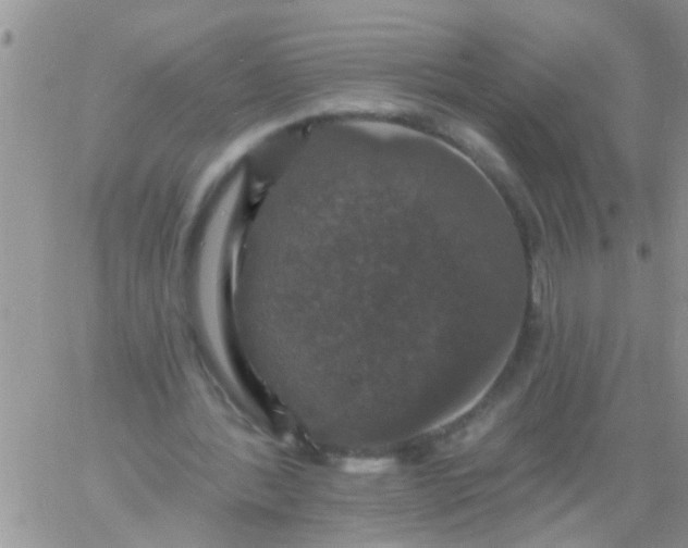 X0000060790388200511241850